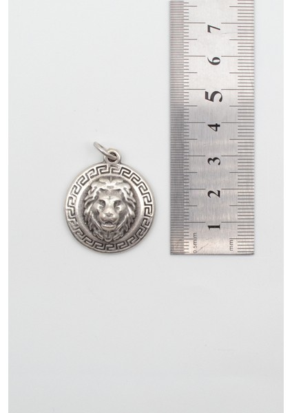 Kabartmalı Aslan Madalyon Kolye - Pu Deri Ip Zincirli Unisex Gümüş Kaplama - 60 cm modelleri