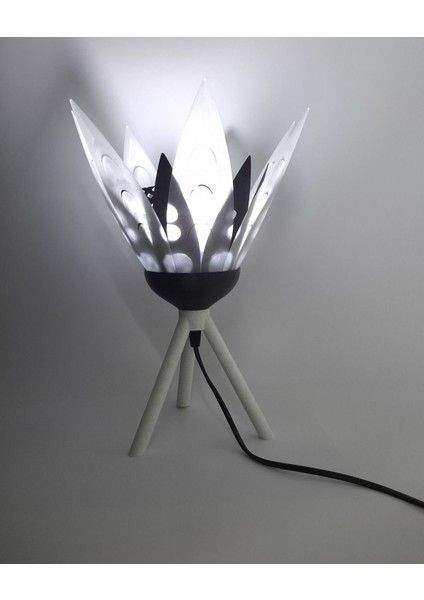 Şık Siyah Çiçek Desenli Dekoratif Masa Lambası ve Gece Işığı fiyatları