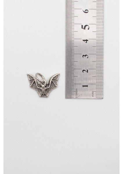 Minimalist Gotik Yarasa Kolye - Düz Ezme Ithal Zincirli Unisex Gümüş Kaplama - 60 cm modelleri