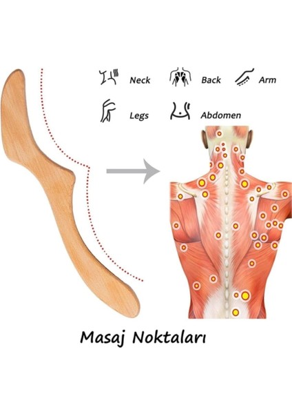 Doğal Ahşap Masaj Aleti ve Akupunktur ile Lenf Drenaj Keyfi fırsatları