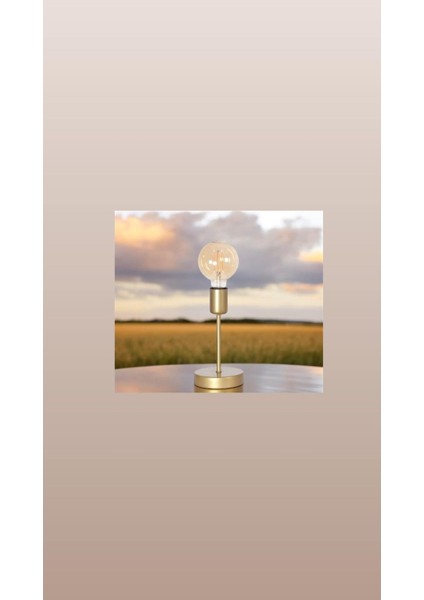 Modern ve Şık Kahverengi Abajur, Rustik Tarzıyla Evinize Sıcaklık Katar