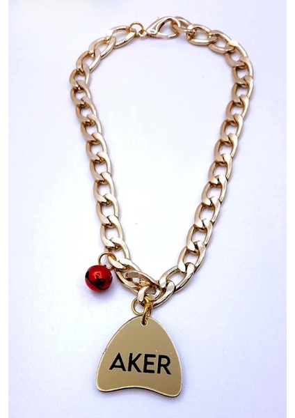 Sevimli Küçük Irk Evcil Hayvanı Isimli Kimlik Takı Çeşitleri