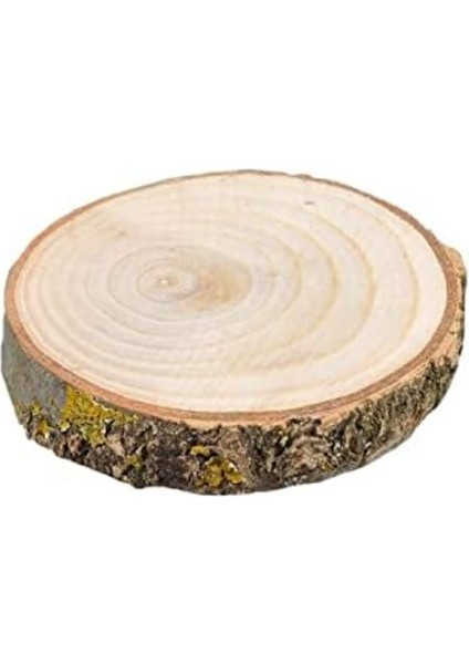 Doğal Ahşap Bardak Altlığı, 9-10 cm Çap, Şık ve Dayanıklı Tasarım modelleri