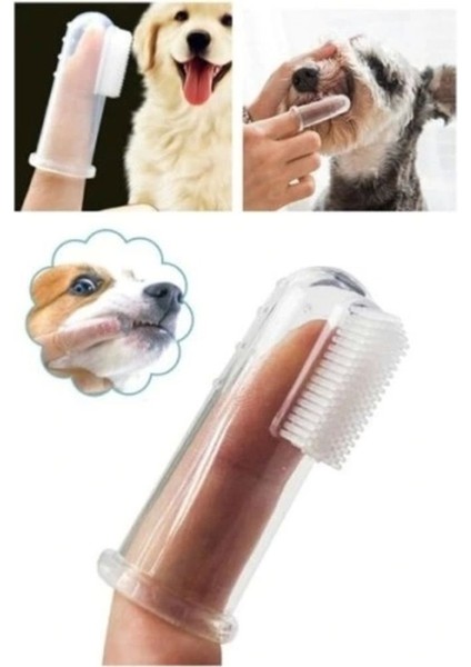 Hayvanlar Için Nazik Diş Temizleme Fırçası, Sağlıklı Ağız Bakımı