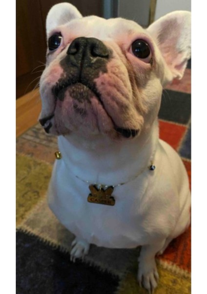 Şık ve Dekoratif 20 cm Uçlar, Evinizin Atmosferini Güzelleştiren Detaylar