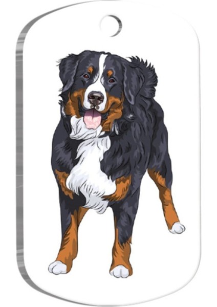 Resimli Büyük Köpek Künyesi, 2,9 x 5 Cm, Dayanıklı ve Şık Tasarım