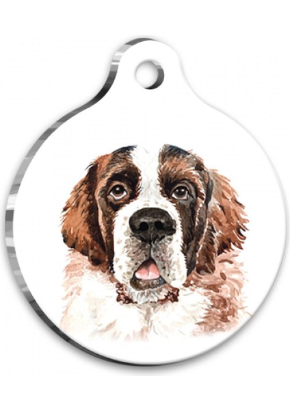 Yuvarlak Köpek Kimliği Büyük Boy 3,8 Cm, Şık ve Dayanıklı Tasarım fiyatları