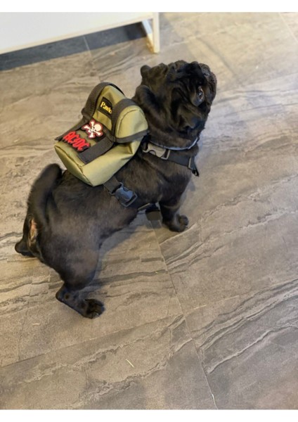 Yeşil Köpek Göğüs Tasması ve Sırt Çantası, Rahat ve Şık Tasarım