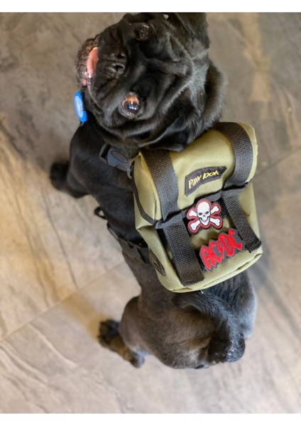 Yeşil Köpek Göğüs Tasması ve Sırt Çantası, Rahat ve Şık Tasarım