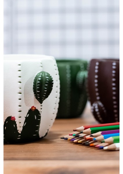 Masaüstü Kaktüs Kalemlik fiyatları