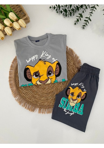 Simba Aslan Figürlü Erkek Çocuk Alt Üst Ikili Takım fırsatları
