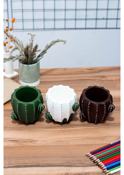 Masaüstü Kaktüs Kalemlik fırsatları