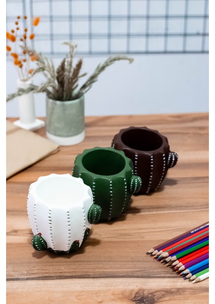 Masaüstü Kaktüs Kalemlik