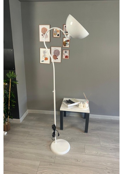 Modern Beyaz Metal Zemin Lambası, Oturma ve Çalışma Odası Dekoruna Şıklık Katar fiyatları