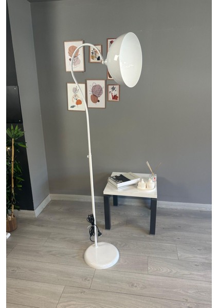 Modern Beyaz Metal Zemin Lambası, Oturma ve Çalışma Odası Dekoruna Şıklık Katar fırsatları