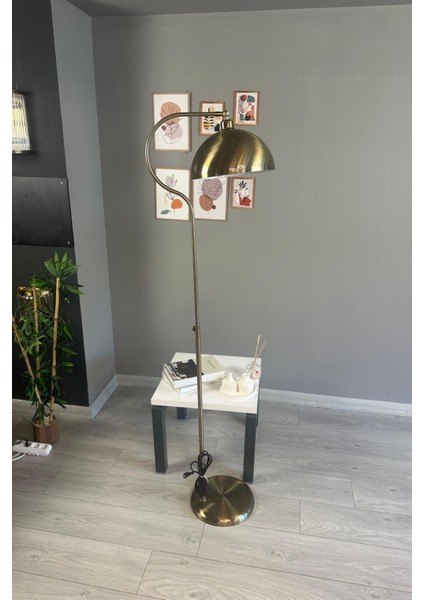 Modern Metal Lambader, Oturma ve Çalışma Odası Şık Dekoratif Aydınlatma.