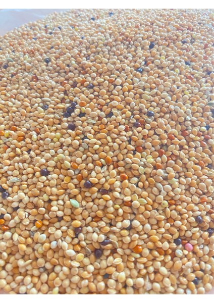 Karışık Muhabbet Yemi – Yeni Mahsül - 10 kg - Ekmeksiz modelleri