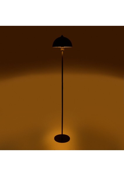 Şık Metal Lambader, Siyah Renk, Modern ve Estetik Tasarım fiyatları