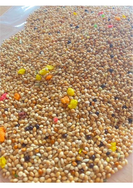 Karışık Muhabbet Yemi – Vitaminli & Renkli – 5 kg - Yeni Mahsül modelleri