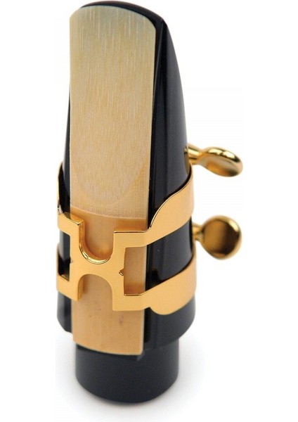 Şık ve Zarif Alto Saksafon Bek ve Kapak Seti Güzel Aksesuarlar modelleri