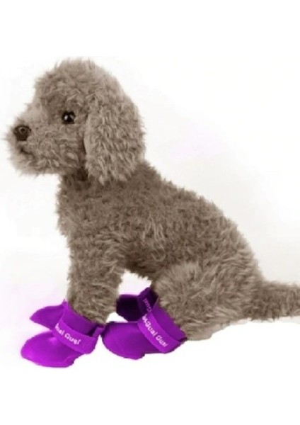 Mor Köpek Ayakkabısı 4'lü Set Large Beden, Şık ve Rahat Tasarım