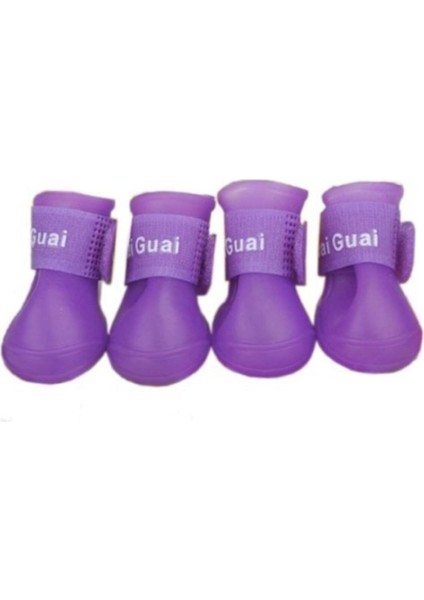Mor Köpek Ayakkabısı 4'lü Set Large Beden, Şık ve Rahat Tasarım fiyatları