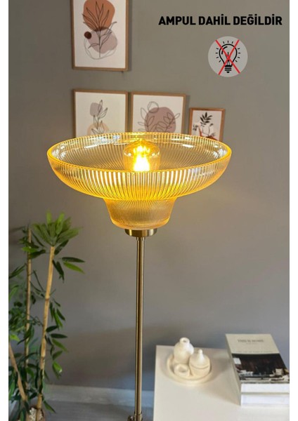 Modern Metal Gövde, Cam Bal Rengi Ince Lambader, Şık ve Zarif Oturma Odası Dekoru modelleri