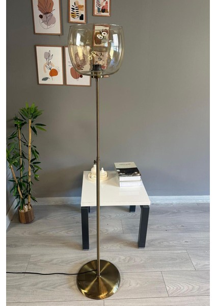 Bal Rengi Cam Lambader, Düz Ince Gövde, Modern Dekoratif Metal Zemin Lambası modelleri