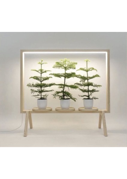 Renkli Doğal Ahşap Lambader ve Çiçeklik Şık ve Kullanışlı Tasarım