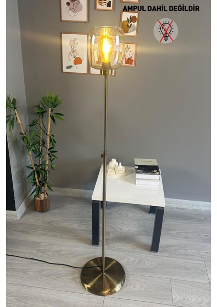 Cam Bal Rengi Düz Ince Gövde Modern Oturma Odası Lambası