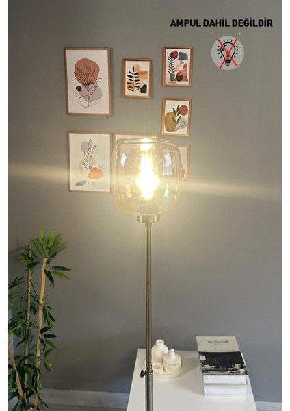 Cam Bal Rengi Düz Ince Gövde Modern Oturma Odası Lambası fiyatları