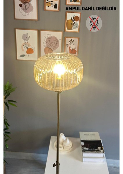 Modern Cam Bal Rengi Lambader, Ince Gövde, Şık Tasarım, Oturma Odası Dekoru Için. modelleri