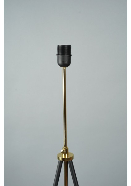 Siyah-Hışır Metal Lambader, Modern ve Şık Aydınlatma (38X38X145 Cm) fiyatları