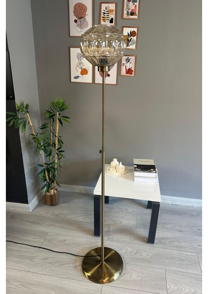 Cam Bal Rengi Ince Gövdeli Modern Lambader, Oturma Odası Için Şık Aydınlatma Seçeneği fırsatları