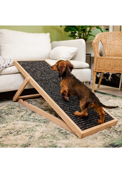 Ayarlanabilir Konforlu Köpek Rampası, Pratik ve Rahat Kullanım