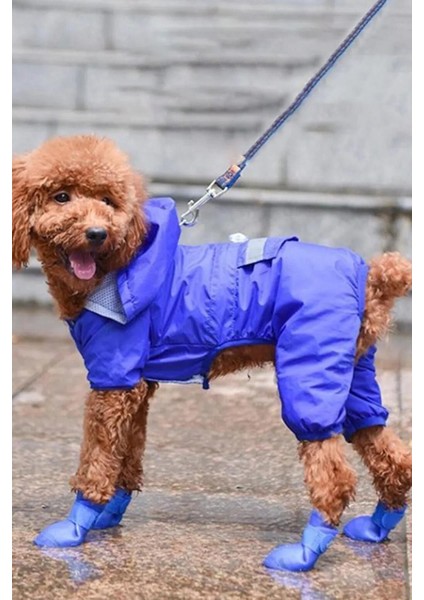 Şık ve Konforlu Küçük Köpekler Için Ayakkabı Seti fiyatları