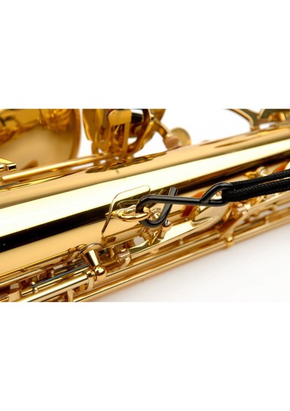 Tenor ve Bariton Saks Askısı, Müzik Enstrümanı Koruma ve Taşıma Kolaylığı modelleri