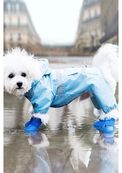 Şık ve Konforlu Küçük Köpekler Için Ayakkabı Seti modelleri