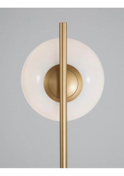 Şık Metalik Tek Başlı Dekoratif Lambader, Tarz Sahibi ve Modern Aydınlatma modelleri