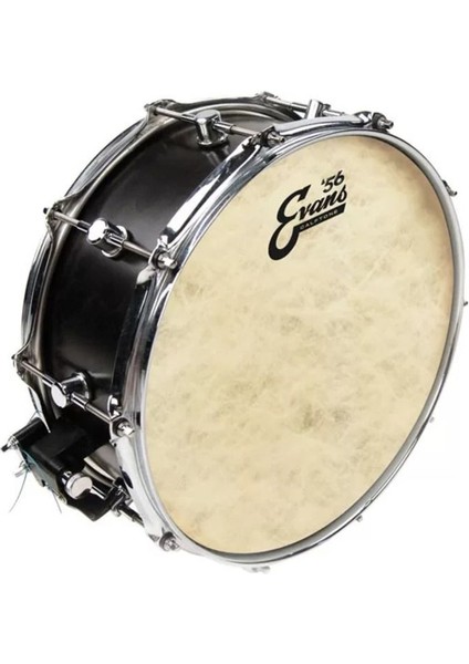 Deri 16 Calftone Tom Sentetik Tek Kat (12 Mil) Profesyonel Müzik Aleti Parçası