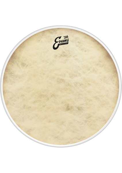 Deri 22 Eq4 Calftone Kick ve Resonant Sentetik Rin, Üstün Kalite ve Müzik Performansı fiyatları