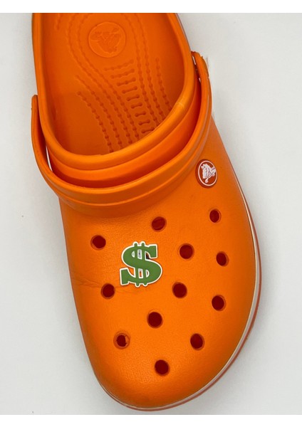 Dolar Görseli Temalı Crocs Süsü