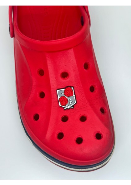 Ikili Gül Temalı Jibbitz Crocsterlik Süsü
