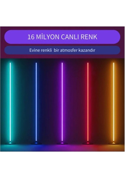 Renkli ve Kumandalı Oda Aydınlatma Sistemi, Şık ve Modern Tasarım