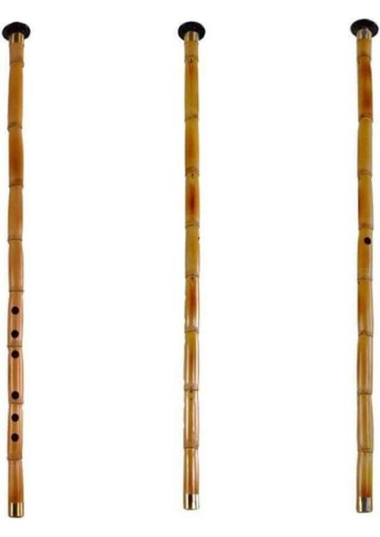 Kamış Si Ney ve Kılıf Seti - Hediyeli, Şık ve Taşınabilir fırsatları