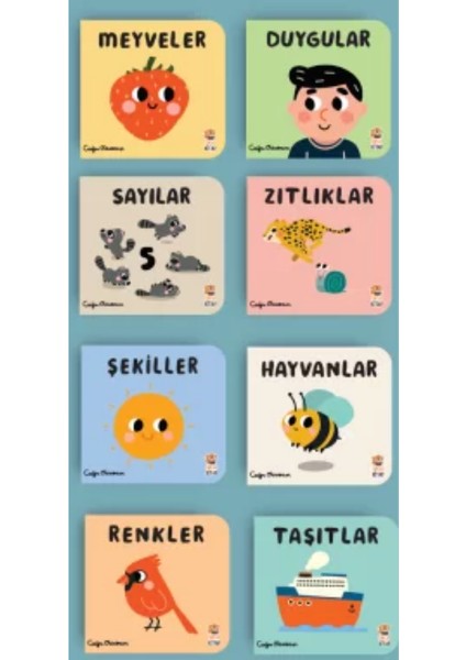 0-3 Yaş -Meyveler, Duygular, Sayılar, Şekiller, Hayvanlar, Renkler, Taşıtlar,zıtlıklar(8kitap)