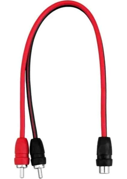 Reiss Amfi Için Y Fis