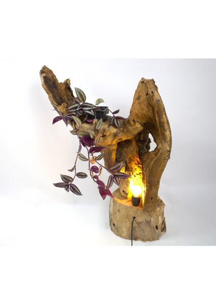 Doğal Ahşap Gece Lambası, Bahçe ve Masa Kullanımı Için Dekoratif Aydınlatma