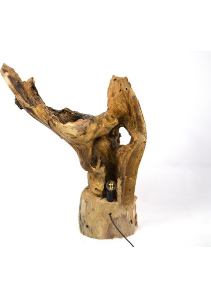 Doğal Ahşap Gece Lambası, Bahçe ve Masa Kullanımı Için Dekoratif Aydınlatma modelleri