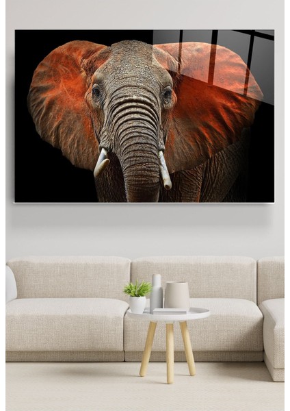 Fil Cam Tablo, Dekoratif Cam Tablo